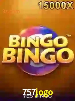 bingobingo